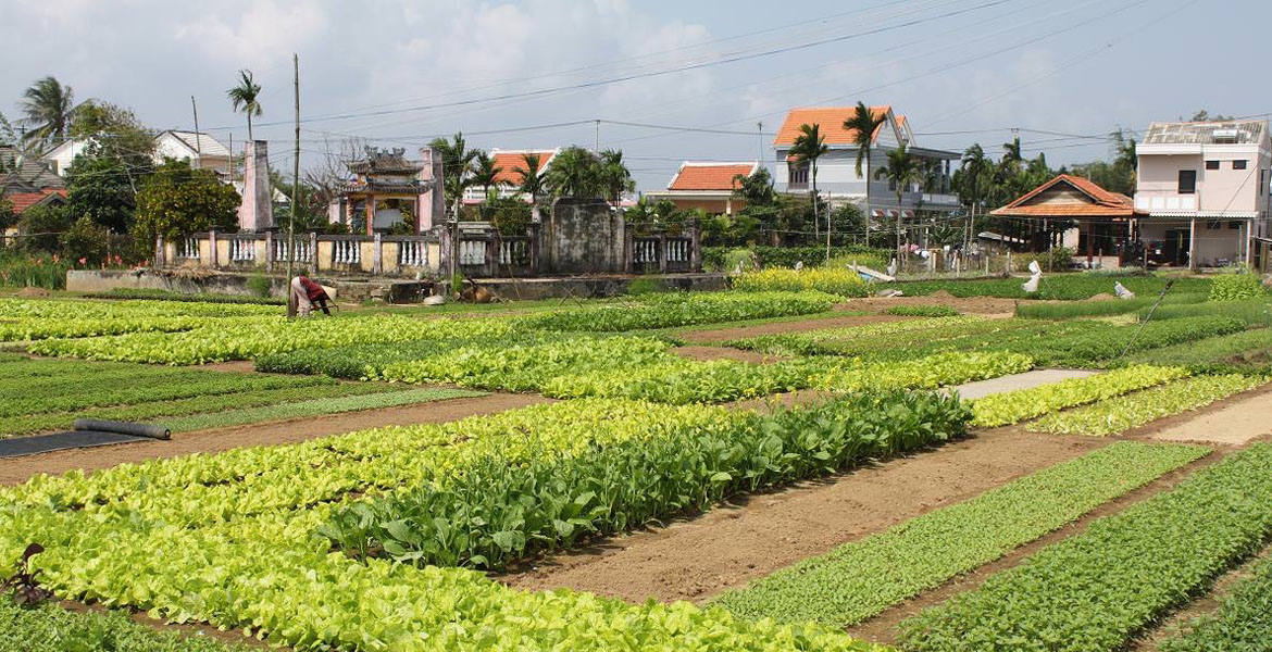 Hoi An Cooking Class